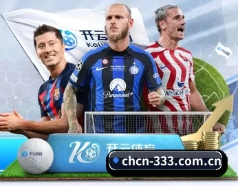 333体育 APP 深度功能